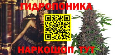 Альфа ПВП Севастополь