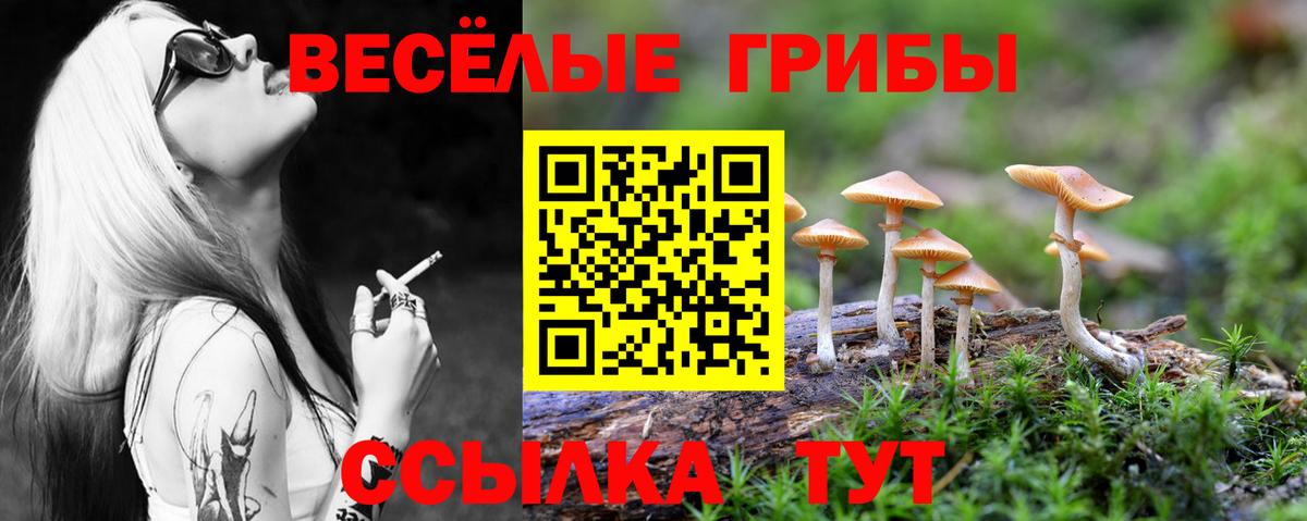Галлюциногенные грибы прущие грибы  Вход с VPN  Тайшет 